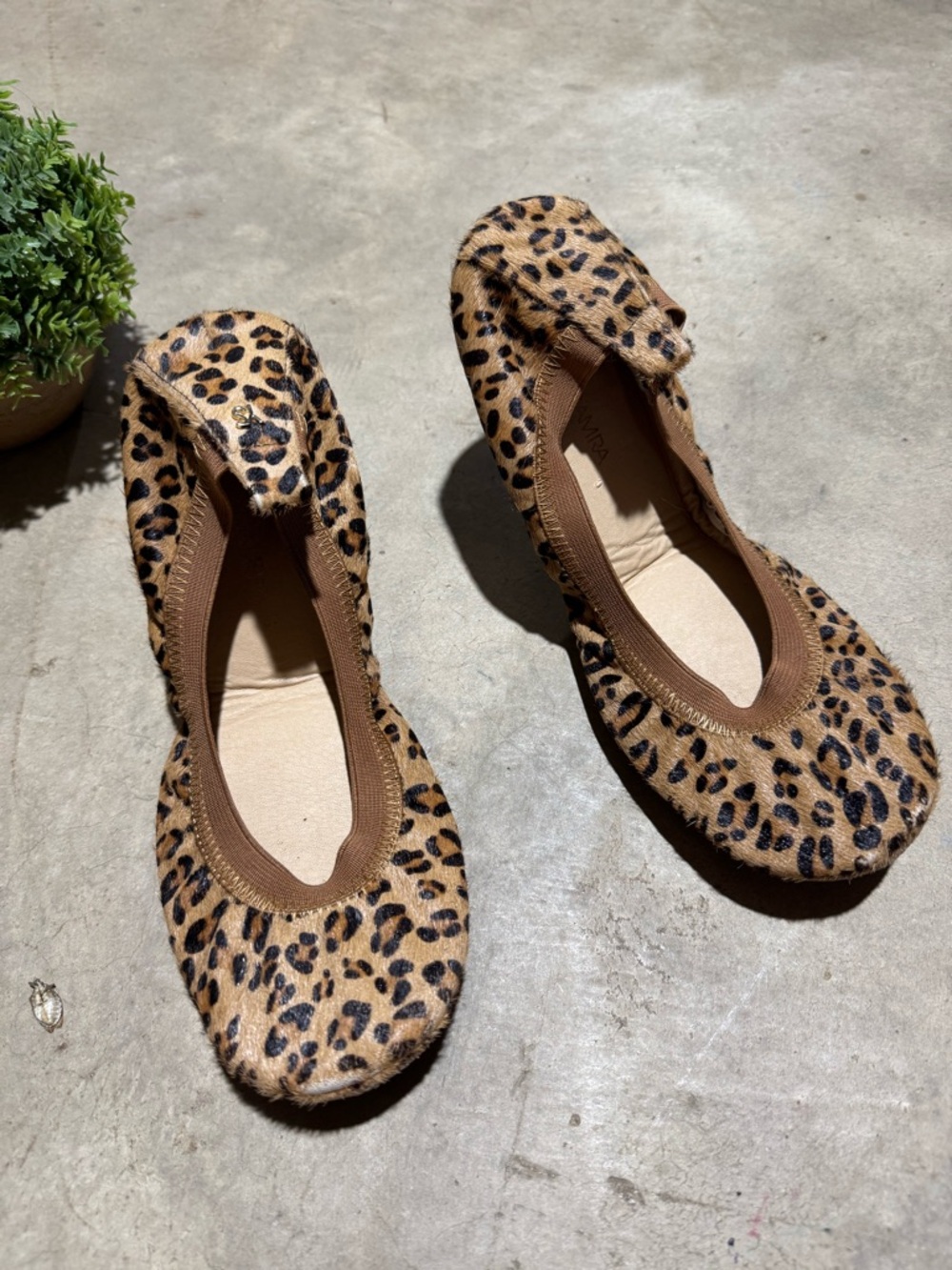 Yosi Samra Leopard Cheetah Flats Leather Calf Hair Foldable Women Size 8 Classic